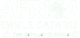 africa logo