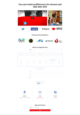 portfolio
